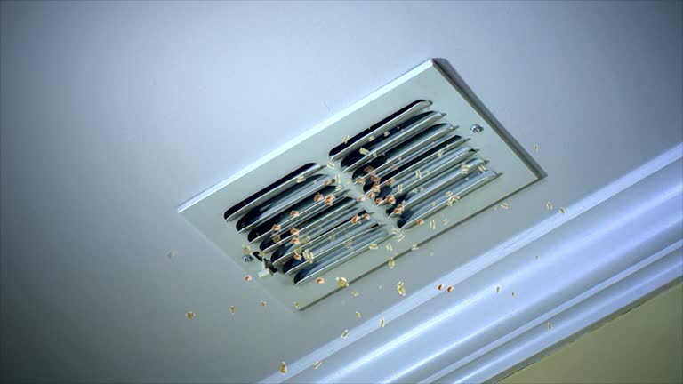 Best Ductwork Cleaning Services  in Andalusia, IL