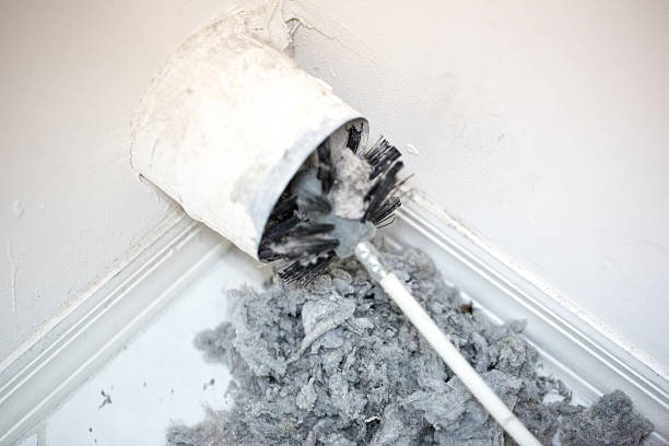 Best Affordable Duct Cleaning Services  in Andalusia, IL